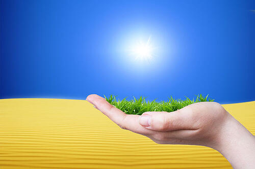 Sliderw_Text_Renewable