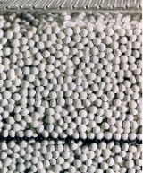 VECTOR System Catalyst