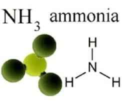 VANGUARD Ammonia Abatement Systems 