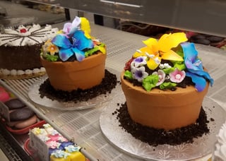 Flower Pot Cake.jpg