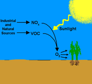 VOCs_plus_NOx_plus_Sun_equals_OZONE.gif