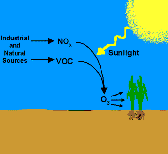 Oxidation, what roll does it play in air pollution control?